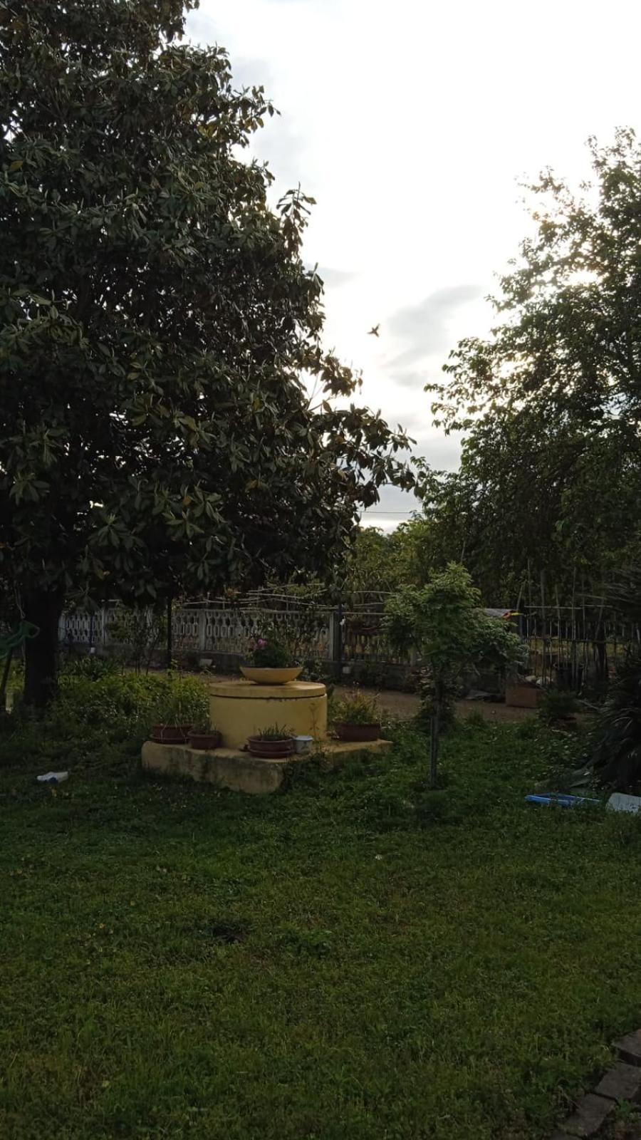 罗马Casina Maria公寓 外观 照片